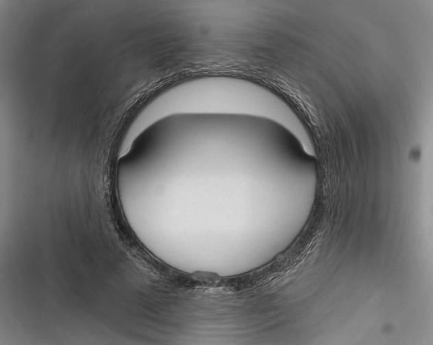 X0000116850689201001121220