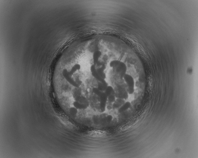 X0000116850691201001121220