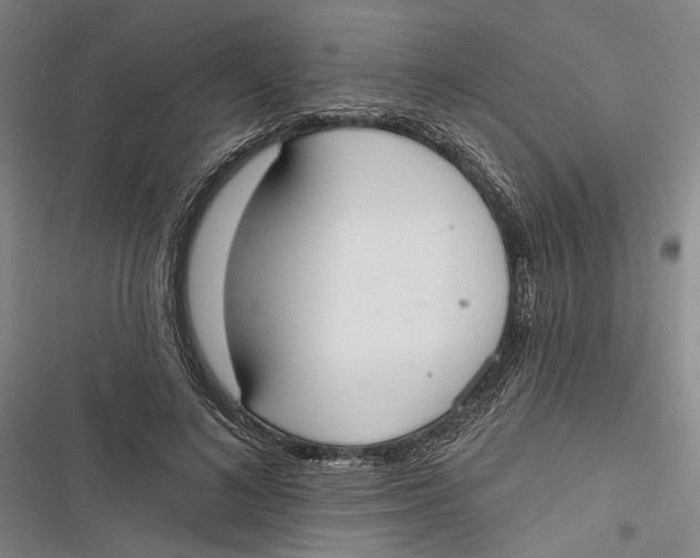 X0000116850692201001121220