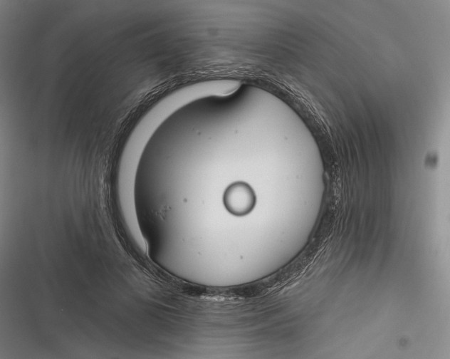 X0000116850693201001121220