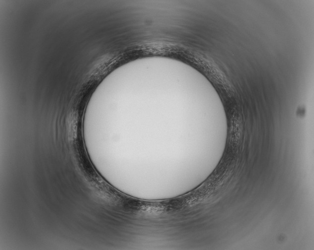 X0000116850694201001121220