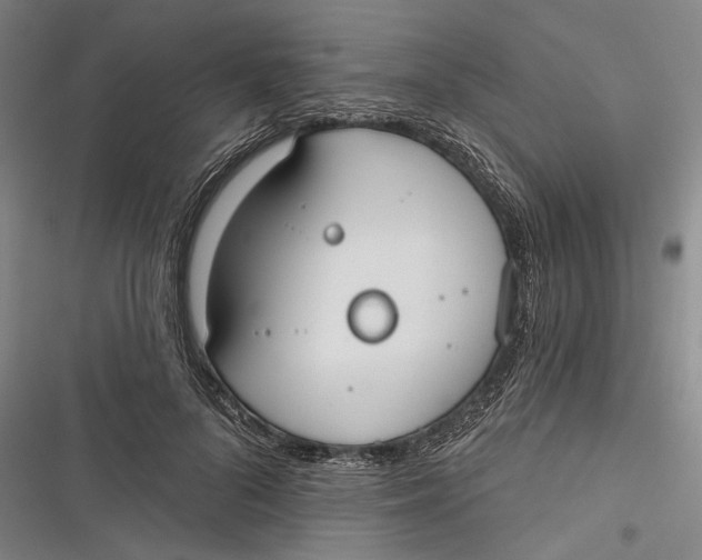 X0000116850696201001121220