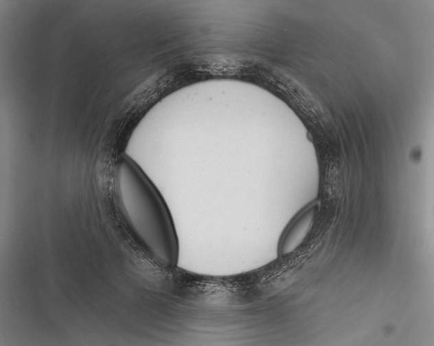 X0000116850697201001121220