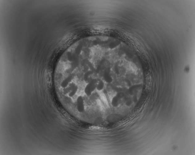 X0000116850699201001121220