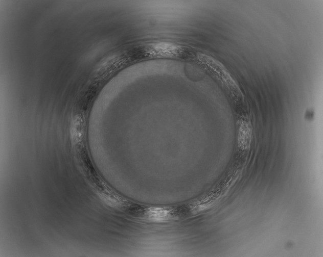 X0000116850701201001121220