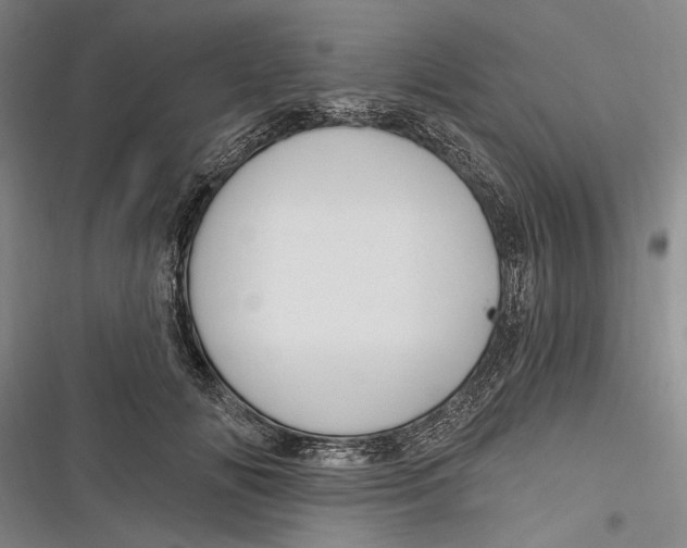 X0000116850702201001121220