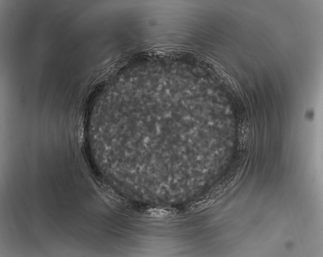 X0000116850703201001121220