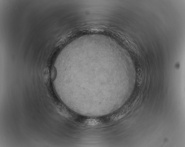 X0000116850704201001121220