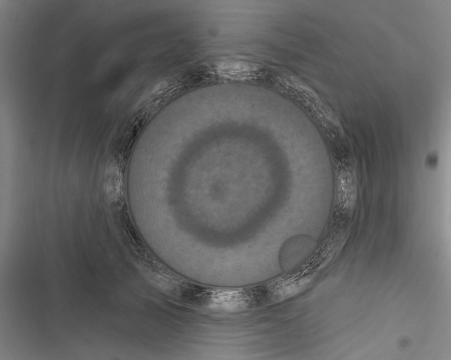 X0000116850705201001121220
