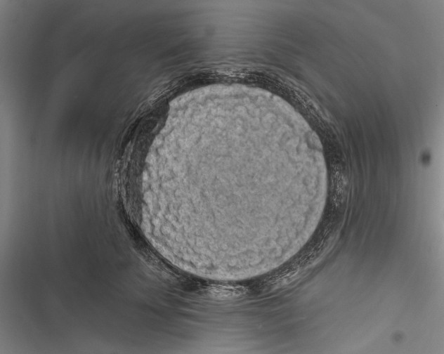 X0000116850707201001121220
