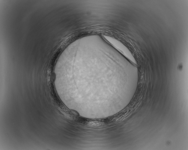 X0000116850708201001121220