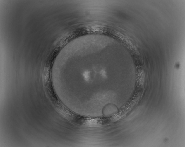 X0000116850709201001121220
