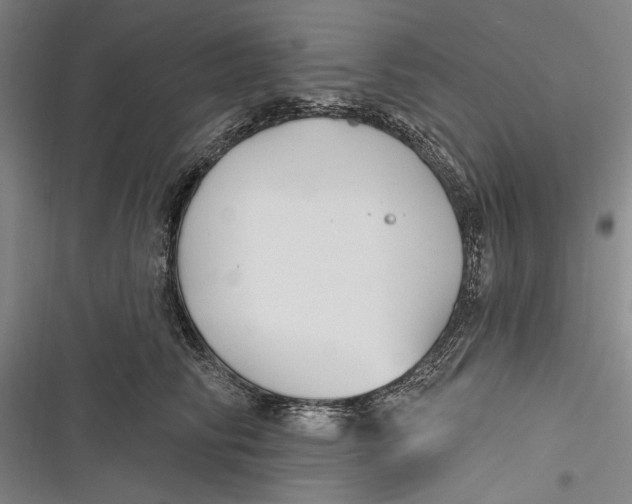 X0000116850710201001121220