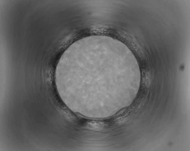 X0000116850712201001121220