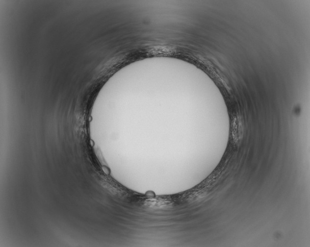 X0000116850714201001121220