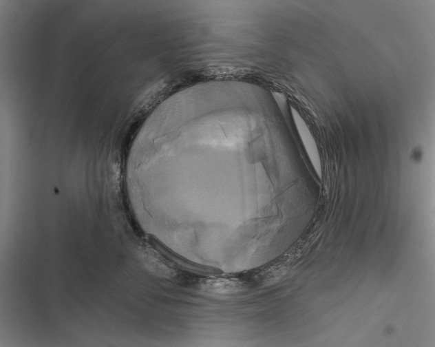 X0000116850716201001121220