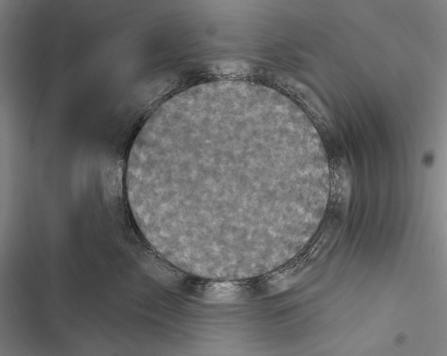 X0000116850717201001121220