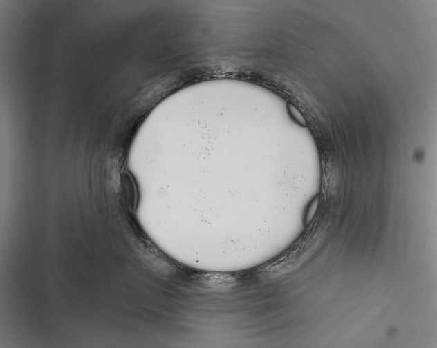X0000116850719201001121220
