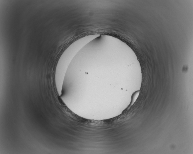 X0000116850720201001121220