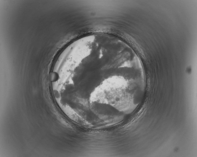 X0000116850721201001121219