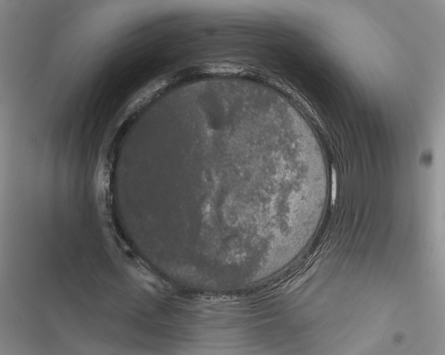 X0000116850723201001121219