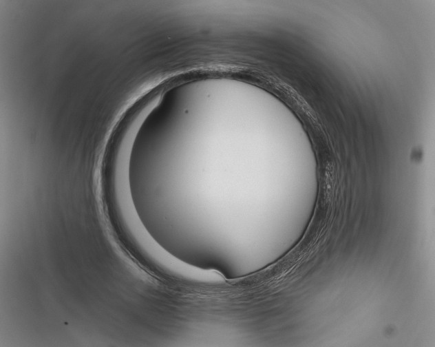 X0000116850726201001121219