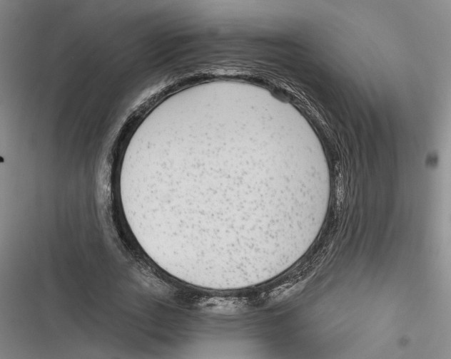 X0000116850727201001121219