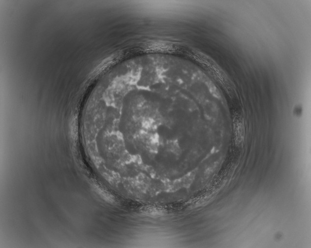 X0000116850729201001121219
