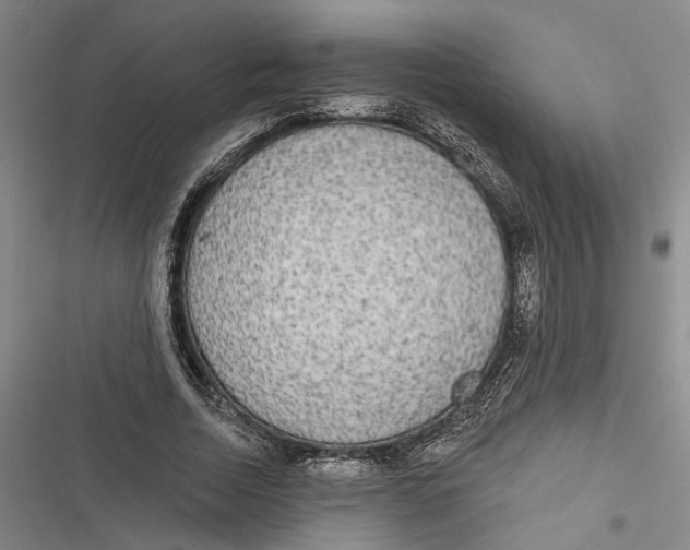 X0000116850730201001121219