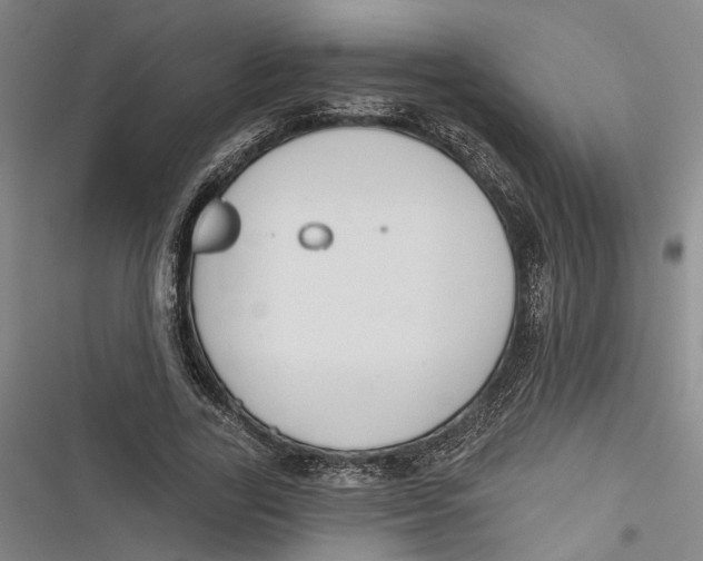 X0000116850731201001121219