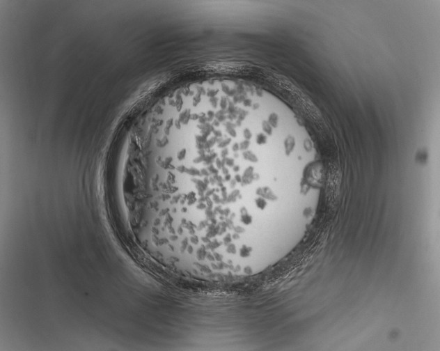 X0000116850734201001121219