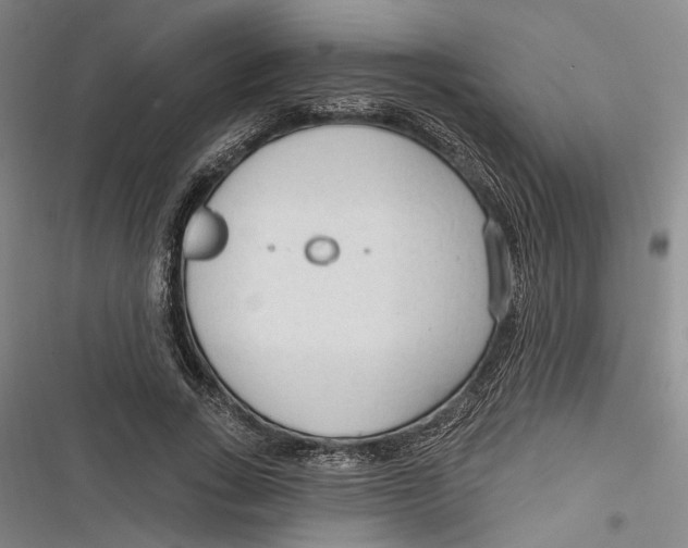 X0000116850735201001121219