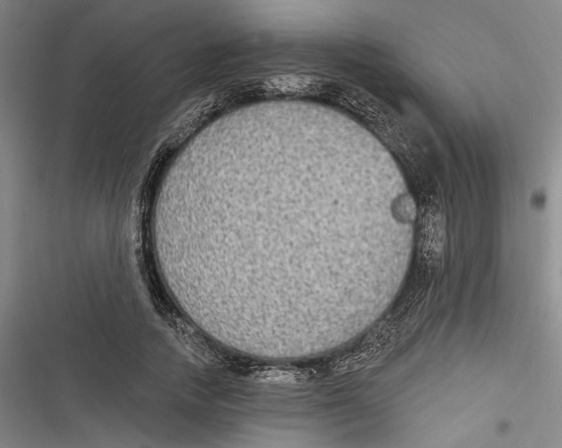 X0000116850738201001121219