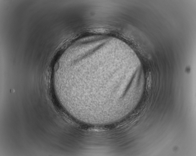 X0000116850739201001121219