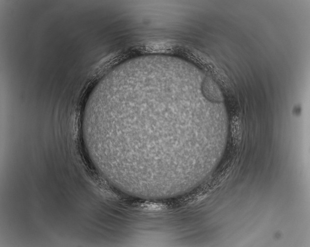 X0000116850741201001121219
