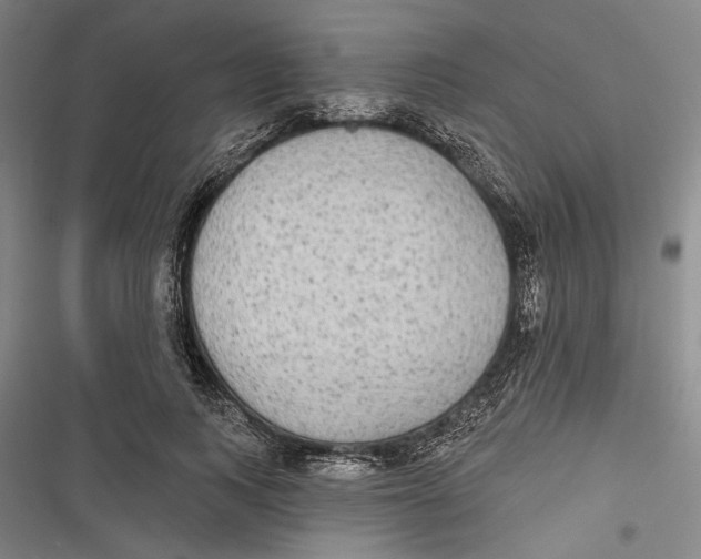 X0000116850743201001121219