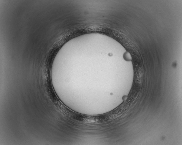 X0000116850746201001121219