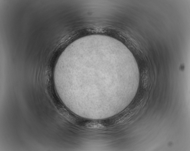 X0000116850747201001121219