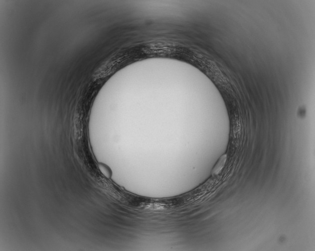 X0000116850751201001121219