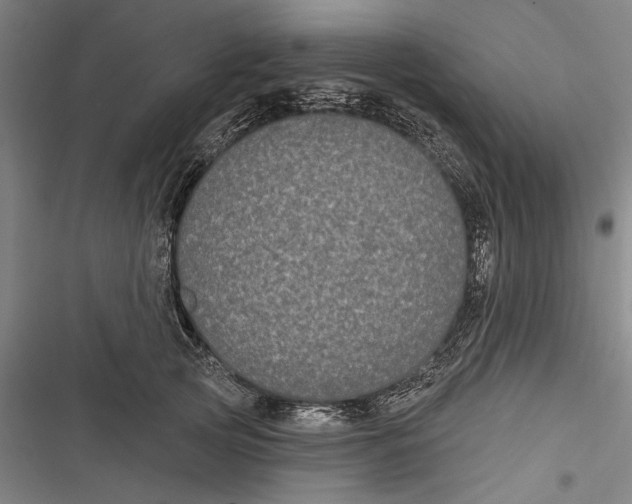 X0000116850753201001121219