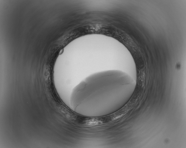X0000116850754201001121219