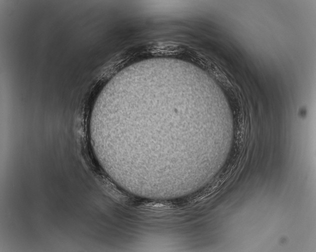 X0000116850755201001121219