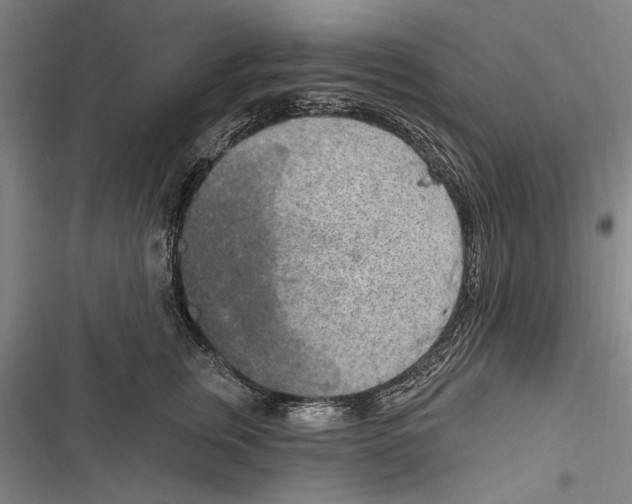 X0000116850759201001121220