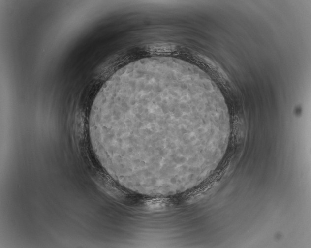 X0000116850761201001121220
