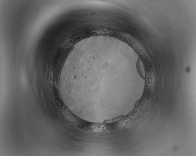 X0000116850762201001121220