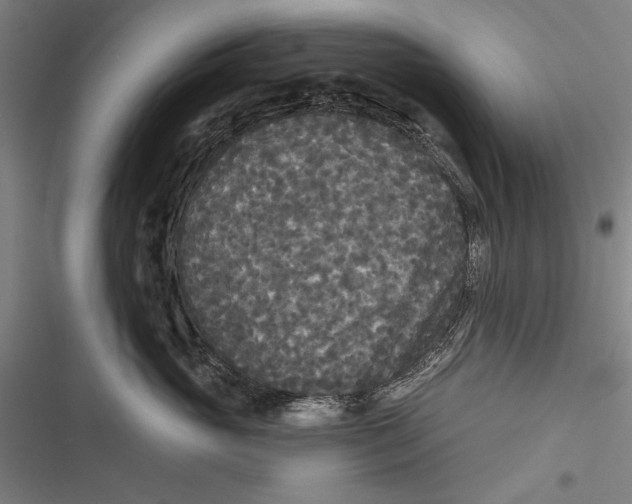 X0000116850765201001121220