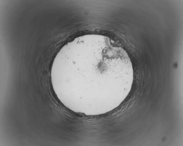 X0000116850769201001121219