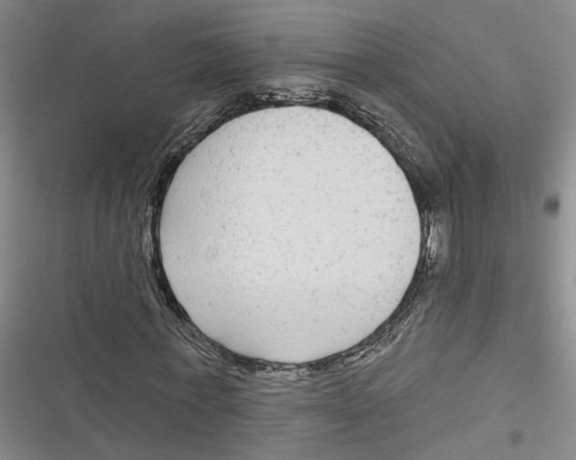 X0000116850771201001121219