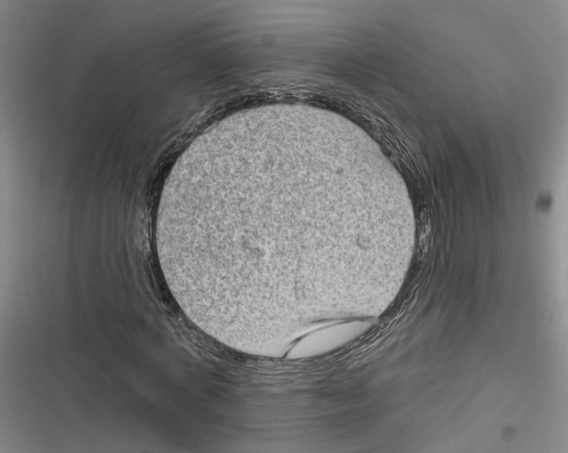X0000116850772201001121219