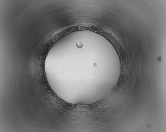 X0000116850773201001121219